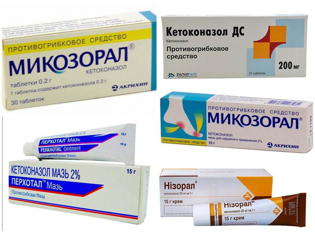 Rating of the best remedies for lichen for 2026