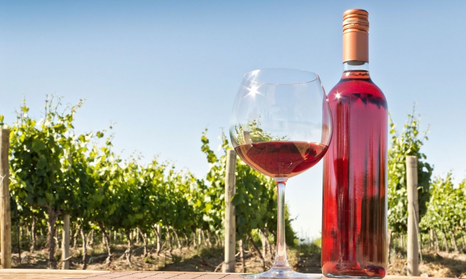 Rating of the best rosé wines for 2026