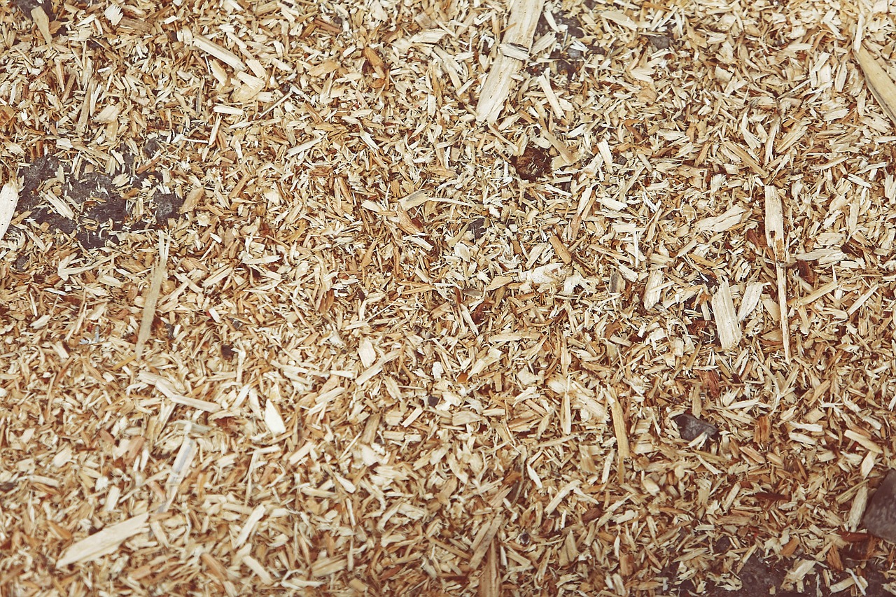 Rating of the best wood chips for 2026