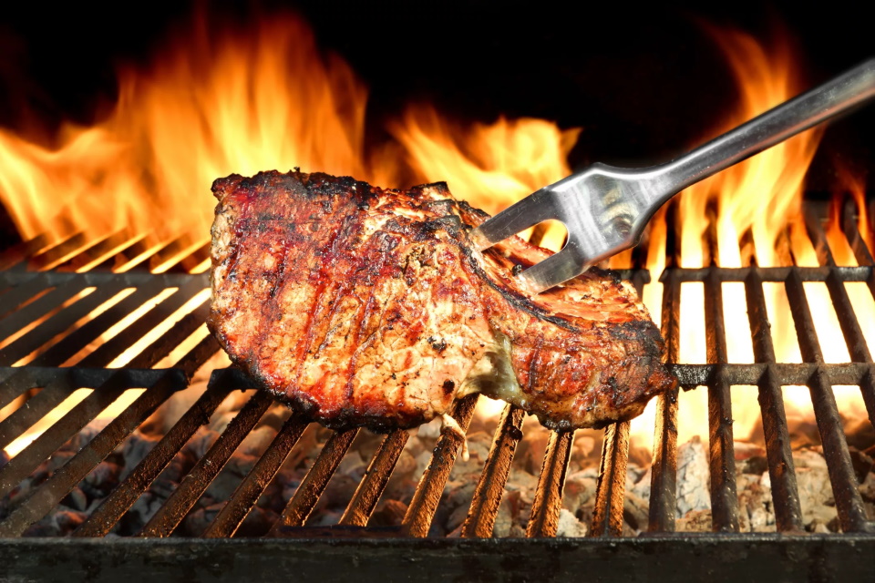 Ranking of the best outdoor barbecues for 2026