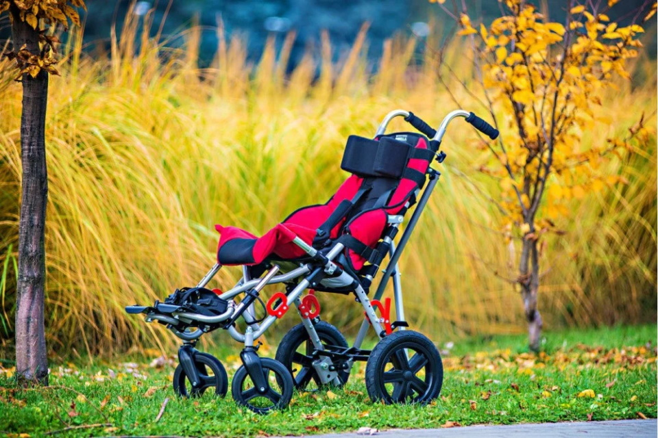 Rating of the best strollers for children with cerebral palsy for 2026