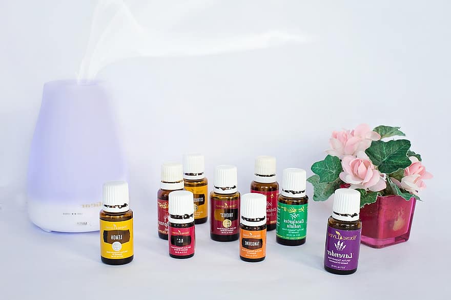 Rating of the best sauna fragrances for 2026