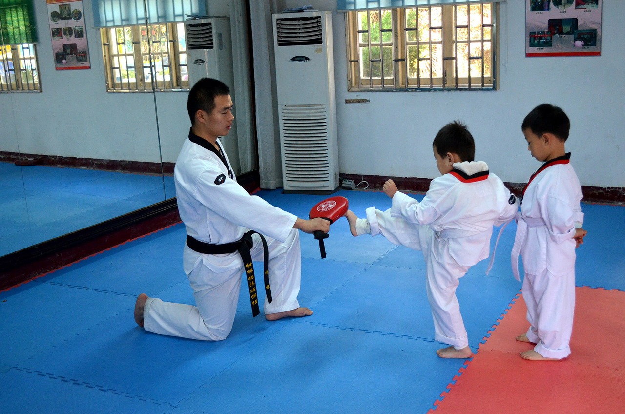 Rating of the best budo mats for 2026