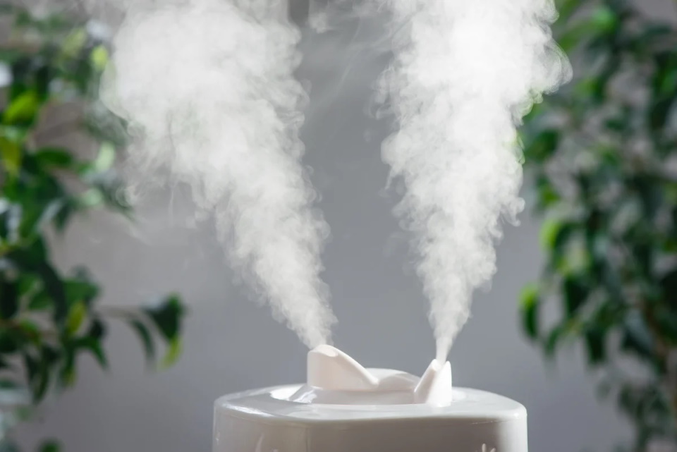 Best humidifiers for home for 2026