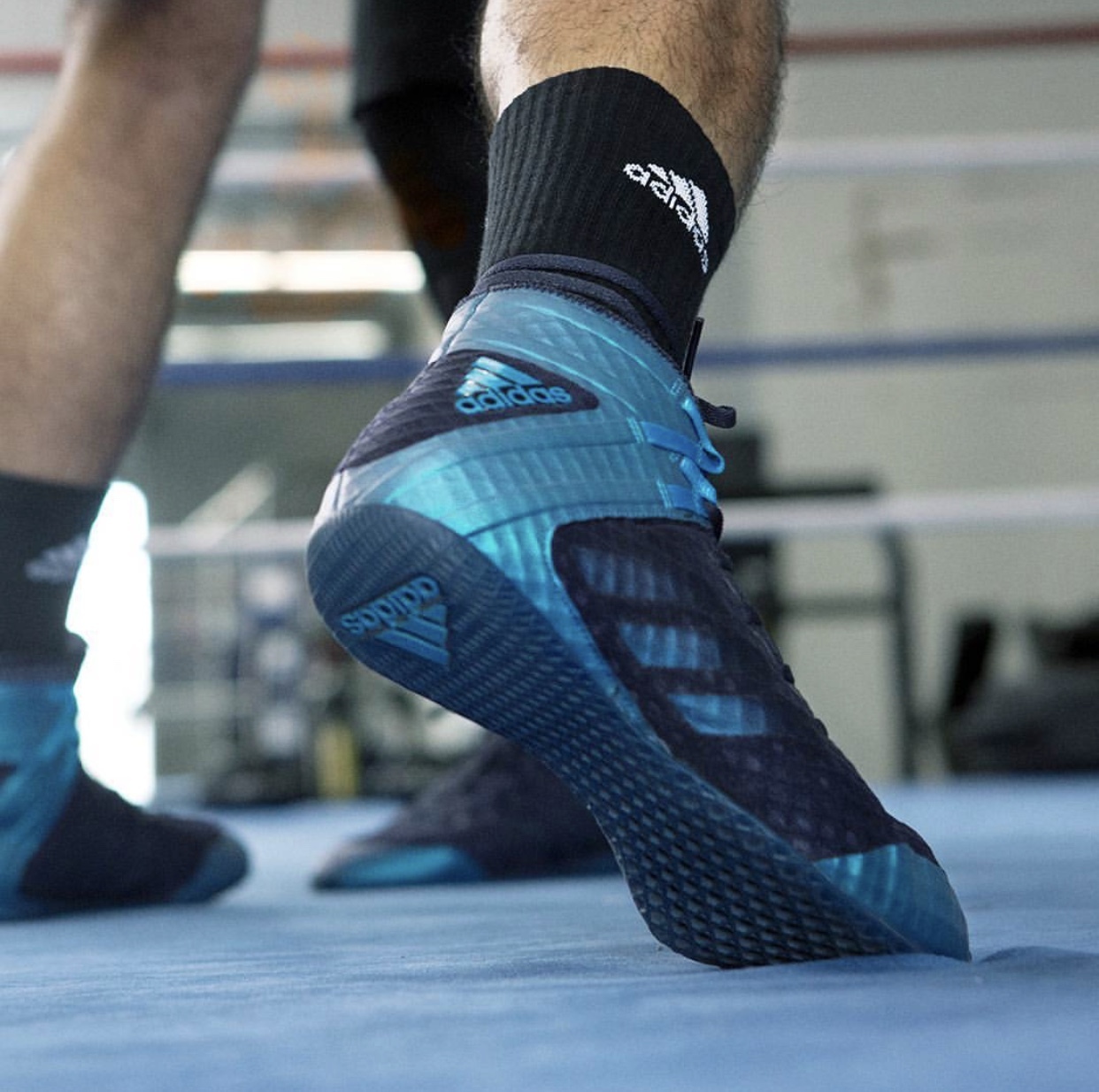 Rating of the best boxers for 2026